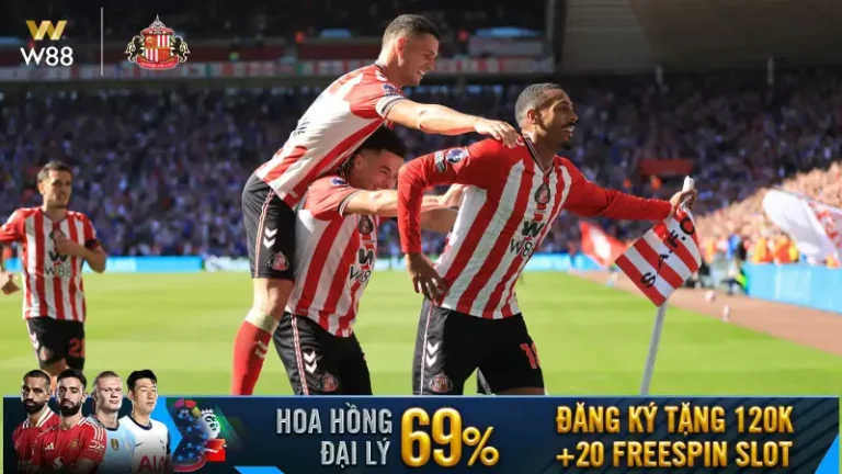 TUẦN NÀY CÓ GÌ DIỄN RA TRÊN THÀNH PHỐ SUNDERLAND..